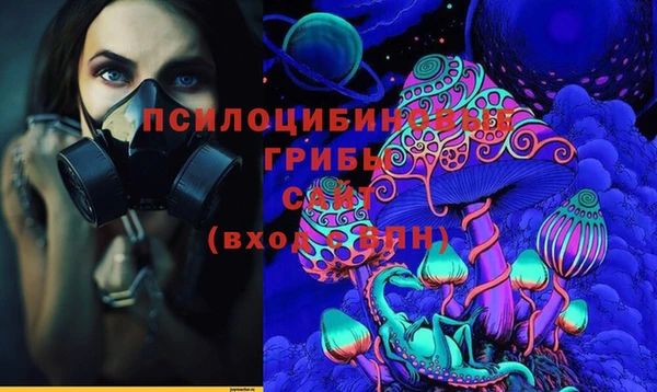 шишки Абаза