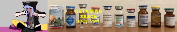 шишки Абаза