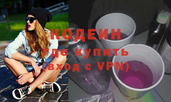 шишки Абаза