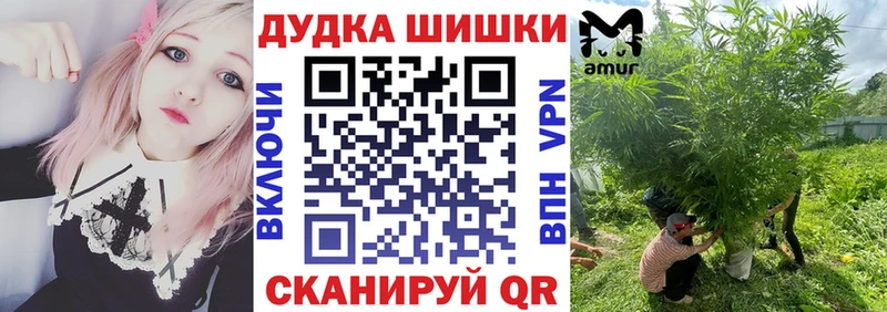 Канабис план  mega зеркало  Саратов  наркошоп 
